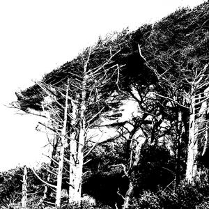 Definitions of the Conditions