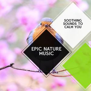 Epic Nature Music - Soothing Sounds to Calm You
