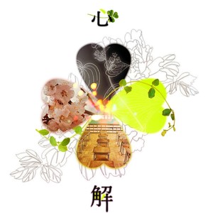 心解