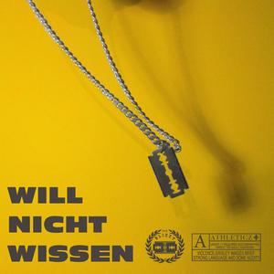 Will nicht wissen (Explicit)