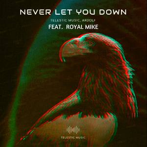 Never Let You Down(feat. Royal Mike) (Remix)