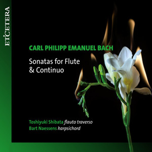 Sonatas for Flute & Continuos: Sonata in G Major, H.550 - I. Andante