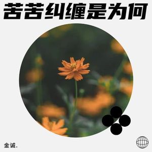苦苦纠缠是为何 (伴奏)