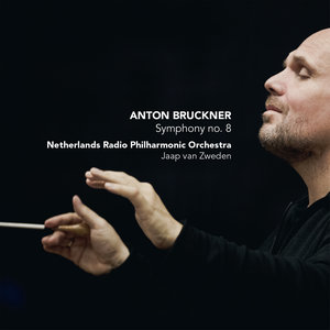 Symphony No. 8 in C Minor: I. Allegro moderato