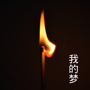 笑纳 (DJ版)