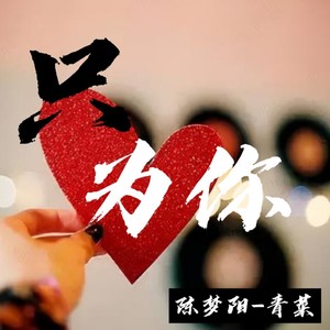 只为你 (伴奏)