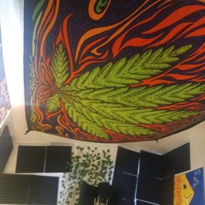 Mess W Me (Explicit)