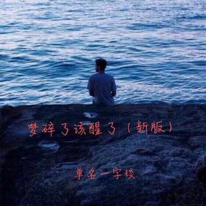 梦碎了该醒了 (新版)