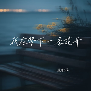 我在等下一季花开