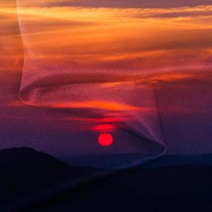 Smokey Room - Triumph