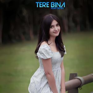 Tere Bina