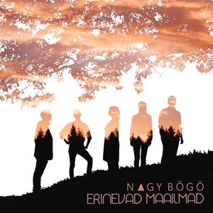 Oh, mina vaene saunamees