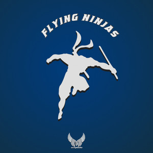 Flying Ninjas