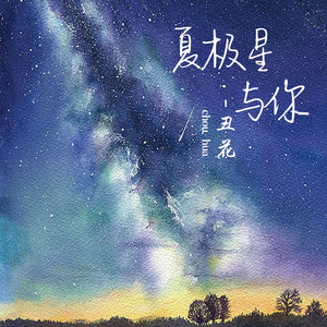 夏极星与你