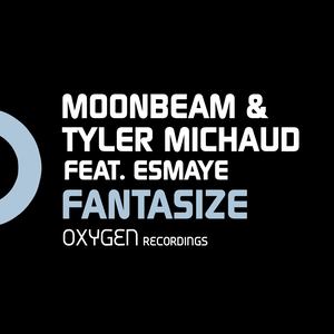 Fantasize (feat. Esmaye) (Mat Zo Remix)