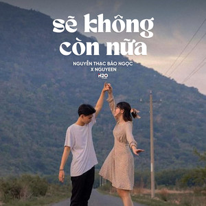 Sẽ Không Còn Nữa (Lofi)