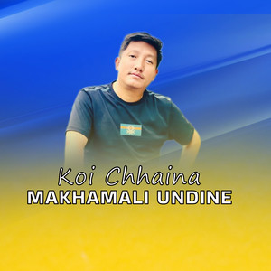 Koi Chhaina Makhamali Undine