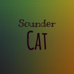 Sounder Cat