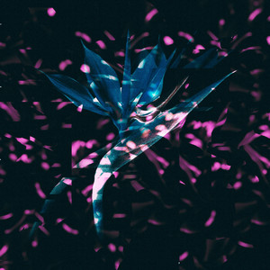 Hernán Platt - La forma de los pájaros (Carlo Juranccelli Remix)