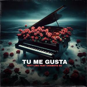 TU ME GUSTA (feat. Chamotagc) [Explicit]