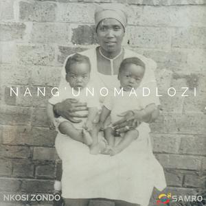 Nang'uNomadlozi (feat. Vus Malahlela & Ensemble For Themba)