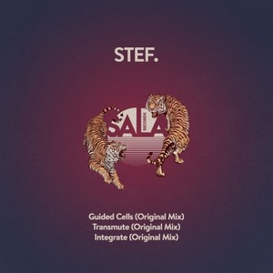 Transmute (Original Mix)