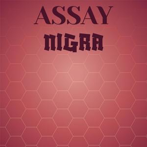 Assay Nigra