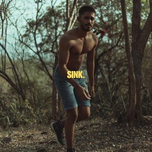 Sink