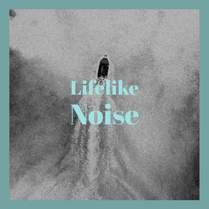 Lifelike Noise