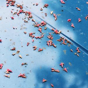 Don’t Bother Me (VVeber Remix)