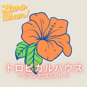 トロピカルハウス～アンビエント～