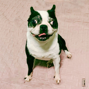 무지개 Instrumental (rainbow Instrumental)