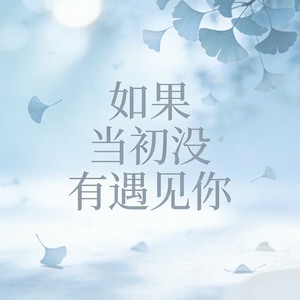 烟嗓老舅 - 如果当初没有遇见你 (男女对唱版)