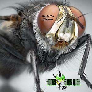 Fly In The Ointment(feat. Adam Hyman)