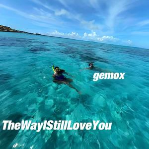 TheWayIStillLoveYou (我在你心里留下了一样东西)