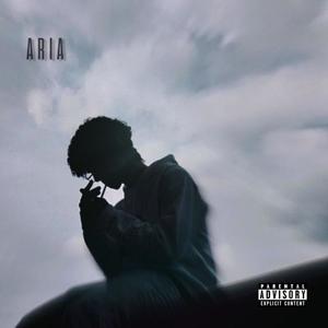 ARIA (Explicit)