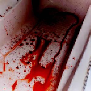 BLOOD BATH - Super Slowed