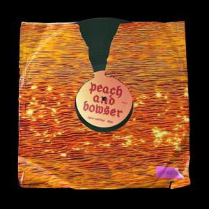 PEACH AND BOWSER (feat. Shye) (Explicit)