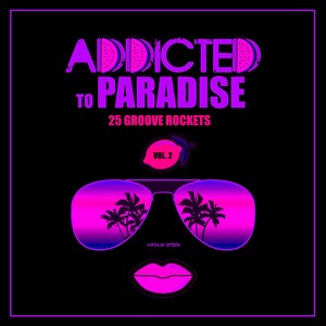 Addicted To Paradise, Vol. 2 (25 Groove Rockets)