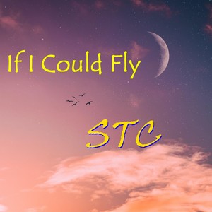 If I Could Fly