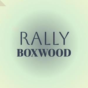 Rally Boxwood