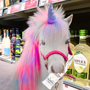 Sperma po klubie (Explicit)