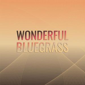 Wonderful Bluegrass