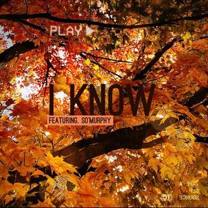 I Know(feat. So Murphy) (Explicit)