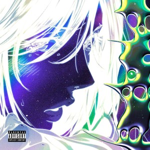 Fly(feat. STVS) (Explicit)