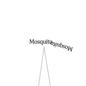 Mosquito