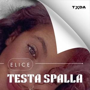 Testa Spalla