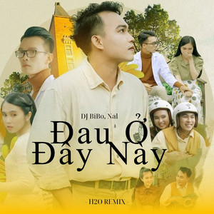 Đau Ở Đây Này (DJ Bibo Remix)