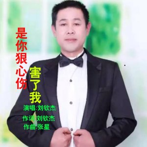 是你狠心伤害了我 (男版)