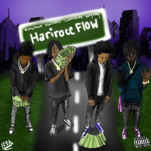 Hariroc Flow (feat. Babymook, Luhhslide & 1Yungzaay) (Explicit)